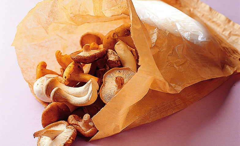 Pilze niemals im Plastikbeutel, sondern immer in einem Papier- oder Stoffsäcklein aufbewahren.