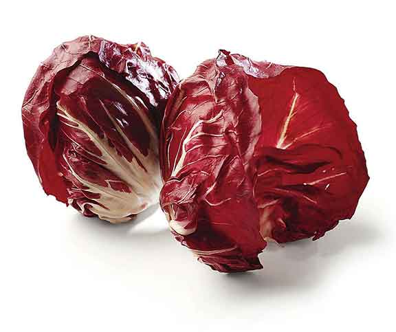 Radicchio rosso