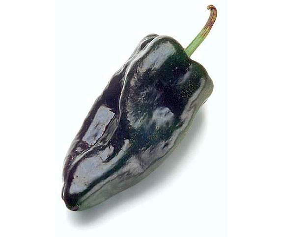 Poblano