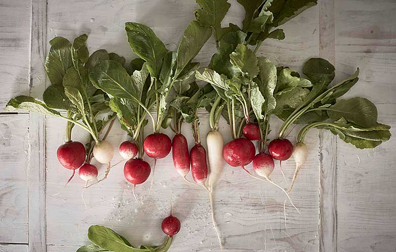 <b>Bel assortiment de variétés:</b> petits radis rouges et ronds, radis glaçons blancs et bicolores, radis demi-longs.