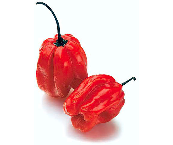 Habanero