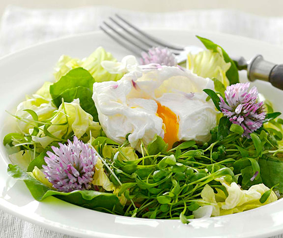 Œufs pochés au nid de salade