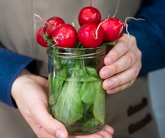 Conserver les radis: dans un verre d’eau