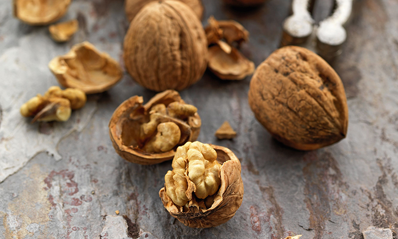 Les noix sont de vrais trésors de santé.